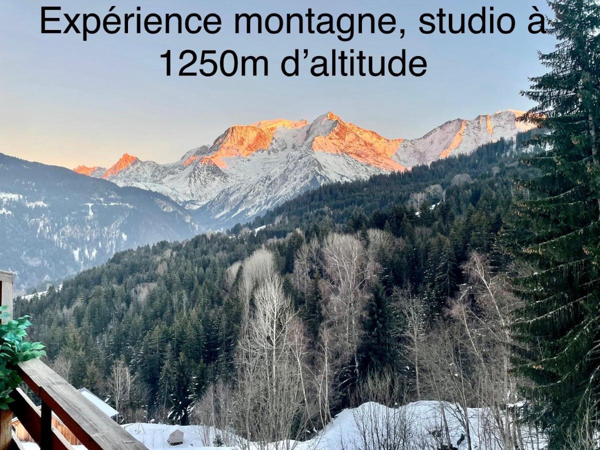 סן-ג'רבה-לה-באן Studio Turquoise Quartier Grattague Vue Montblanc מראה חיצוני תמונה